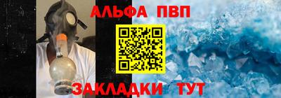 спиды Гатчина