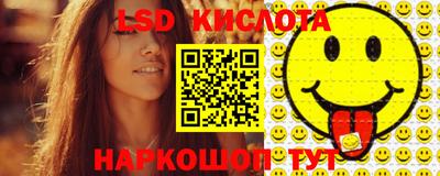 спиды Гатчина