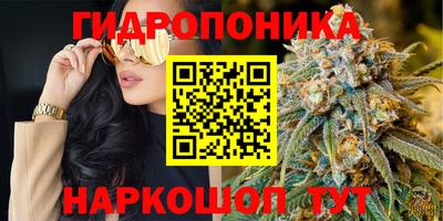 спиды Гатчина