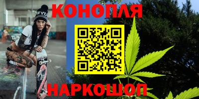 прущие крисы Гай