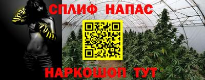 прущие крисы Гай
