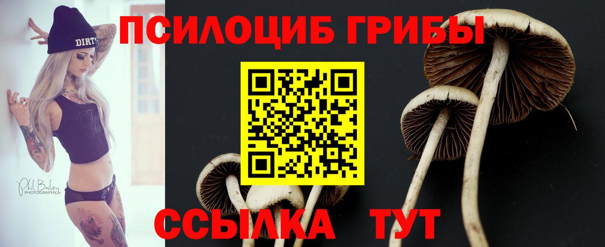 Галлюциногенные грибы Psilocybine cubensis  Вход с VPN  Миасс  Галлюциногенные грибы ЛСД 